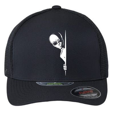 Graphic Staring Alien Ufo Science Fiction Funny Scary Gift Flexfit Unipanel Trucker Cap