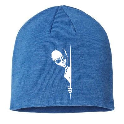 Graphic Staring Alien Ufo Science Fiction Funny Scary Gift Sustainable Beanie