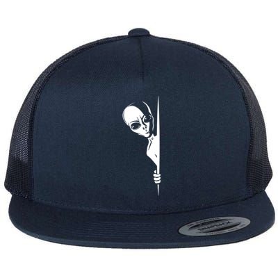 Graphic Staring Alien Ufo Science Fiction Funny Scary Gift Flat Bill Trucker Hat