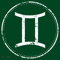 Gemini Sign Astrology Zodiac Premium T-Shirt