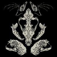 Goth Skulls & Bones Vulture Culture Taxidermy Gothic Cooling Performance Crew T-Shirt