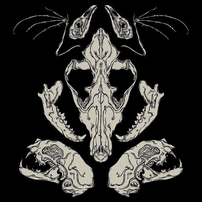 Goth Skulls & Bones Vulture Culture Taxidermy Gothic Polo