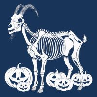 Goat Skeleton Birthday Halloweens Wo Premium T-Shirt