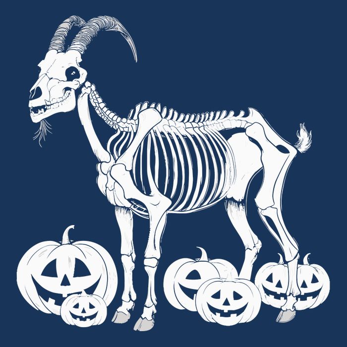 Goat Skeleton Birthday Halloweens Wo Premium T-Shirt