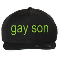 Gay Son Brat Dark Humor Joke 365 Partygirl Gift Wool Snapback Cap