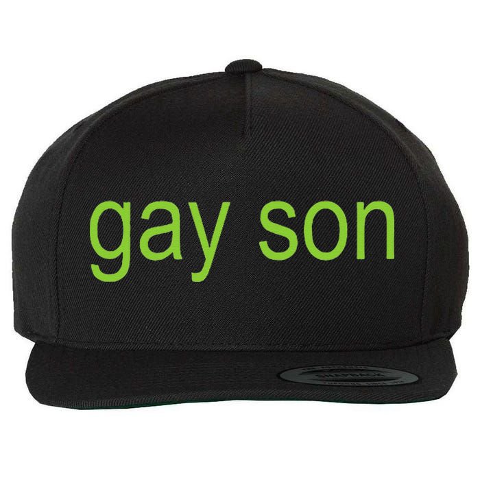 Gay Son Brat Dark Humor Joke 365 Partygirl Gift Wool Snapback Cap