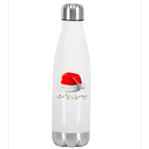 Gramcracker Santa Christmas Family Matching Pajamas Mama Gift Stainless Steel Insulated Water Bottle