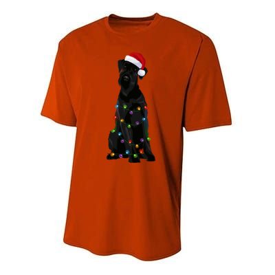 Giant Schnauzer Christmas Lights Xmas Dog Lover Gift Performance Sprint T-Shirt