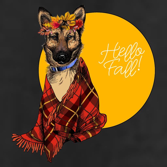 German Shepherd Dog Autumn leaves Blanket Hello Fall Cool Comfort Performance Bucket Hat