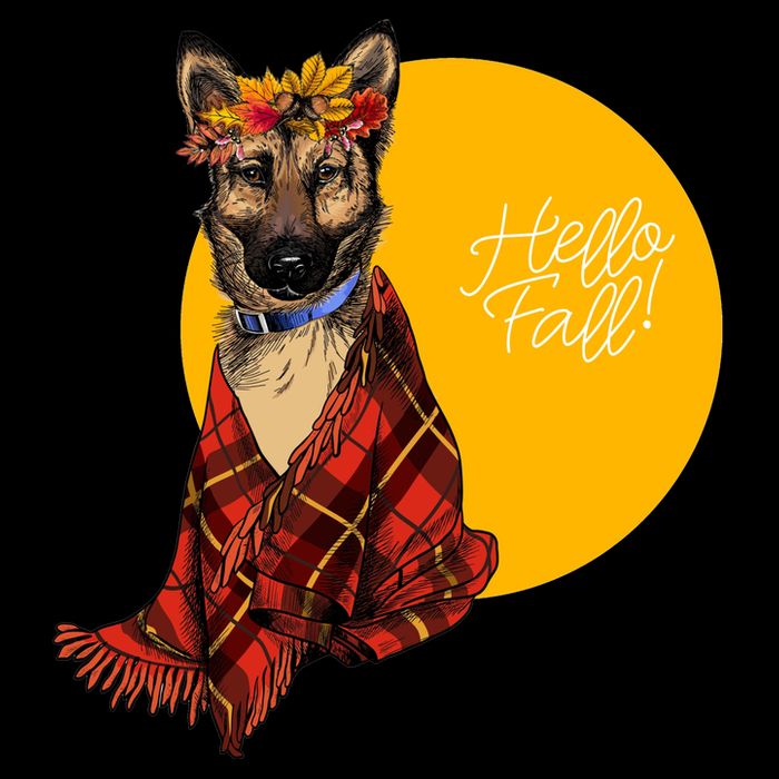 German Shepherd Dog Autumn leaves Blanket Hello Fall Poster