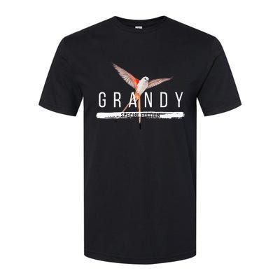 Grandy Special Edition Softstyle® CVC T-Shirt