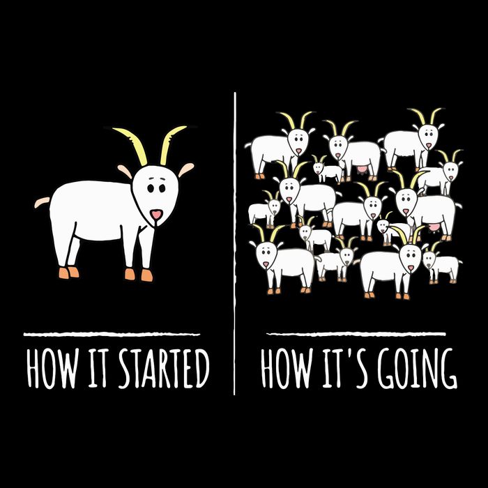 Goat Shirts For Goat Lovers Farm Apparel Meme Pun Funny Goat Cropped Pullover Crew