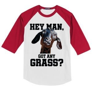 Goat Shirts For Goat Lovers Farm Apparel Meme Pun Funny Goat Kids Colorblock Raglan Jersey