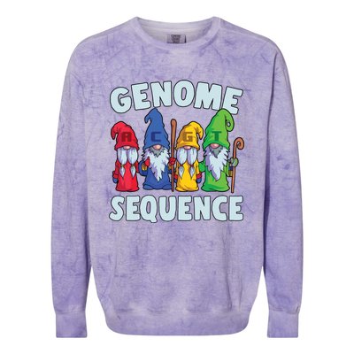 Genome Sequence Funny Gnome Biology Physics Science Pun Colorblast Crewneck Sweatshirt