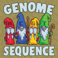 Genome Sequence Funny Gnome Biology Physics Science Pun Garment-Dyed Women's Muscle Tee