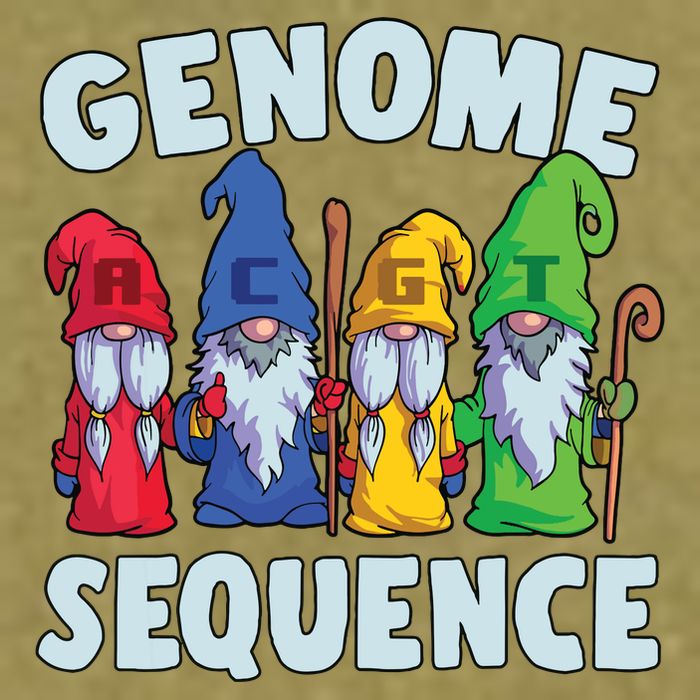 Genome Sequence Funny Gnome Biology Physics Science Pun Garment-Dyed Women's Muscle Tee