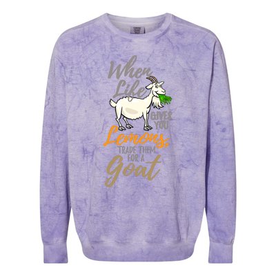 Goat Stuff For Goat Lovers | Farm Animal Meme Pun Funny Goat Colorblast Crewneck Sweatshirt