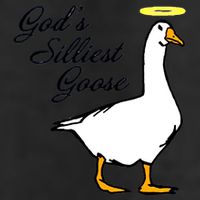 God's Silliest Goose 7 Panel Mesh Trucker Snapback Hat