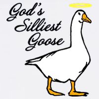 God's Silliest Goose Cooling Performance Crew T-Shirt