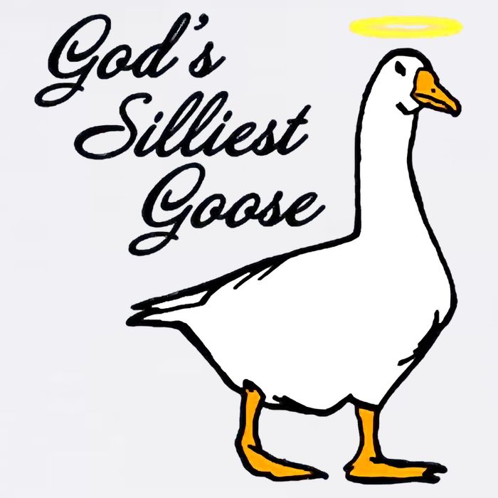 God's Silliest Goose Cooling Performance Crew T-Shirt