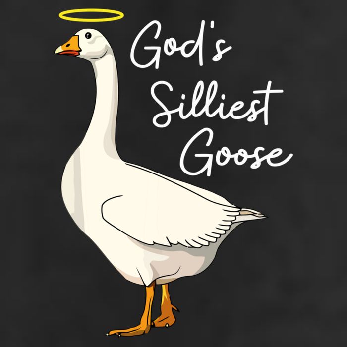 God's Silliest Goose Funny 11oz C Handle Ceramic Mug