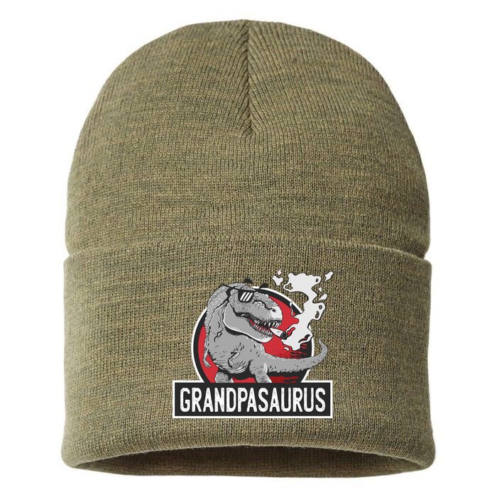 Grandpasaurus Smoking Grandpa Trex Funny Sustainable Knit Beanie