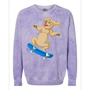 Goldendoodle Skateboarding Colorblast Crewneck Sweatshirt