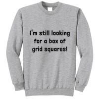 Grid Squares Tall Sweatshirt