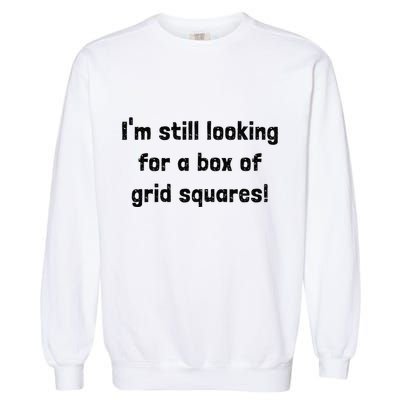 Grid Squares Garment-Dyed Sweatshirt