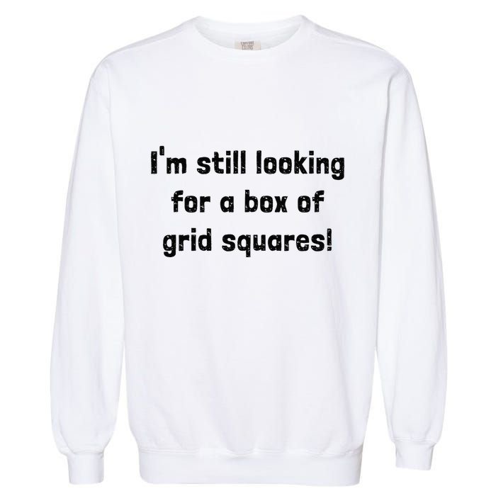 Grid Squares Garment-Dyed Sweatshirt