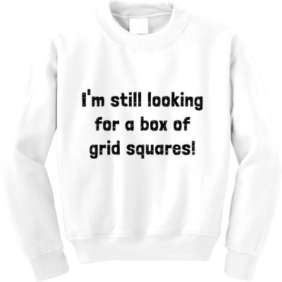 Grid Squares Kids Sweatshirt