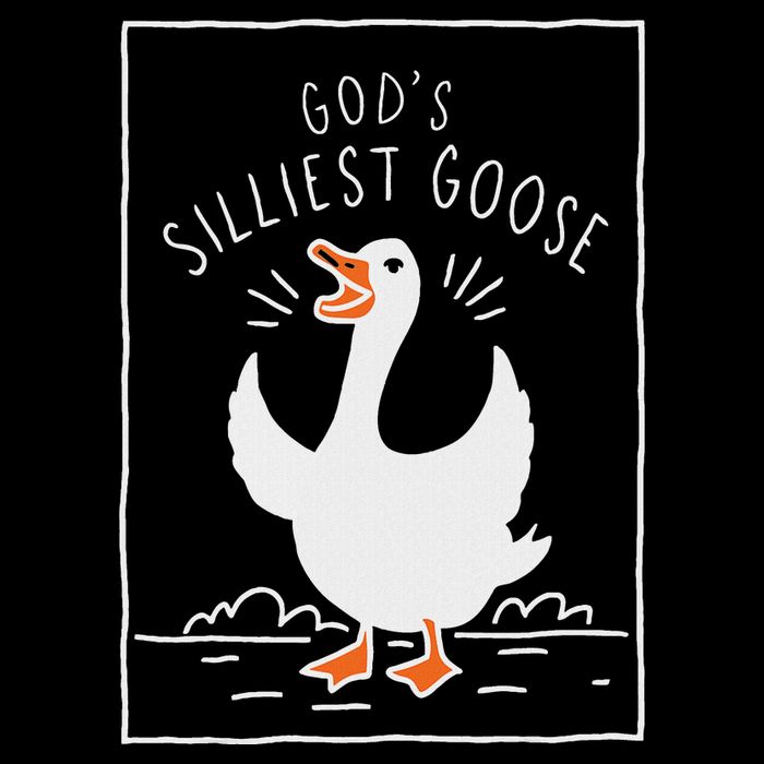 GodS Silliest Goose Womens T-Shirt