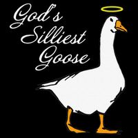 God's Silliest Goose Funny Women's V-Neck T-Shirt
