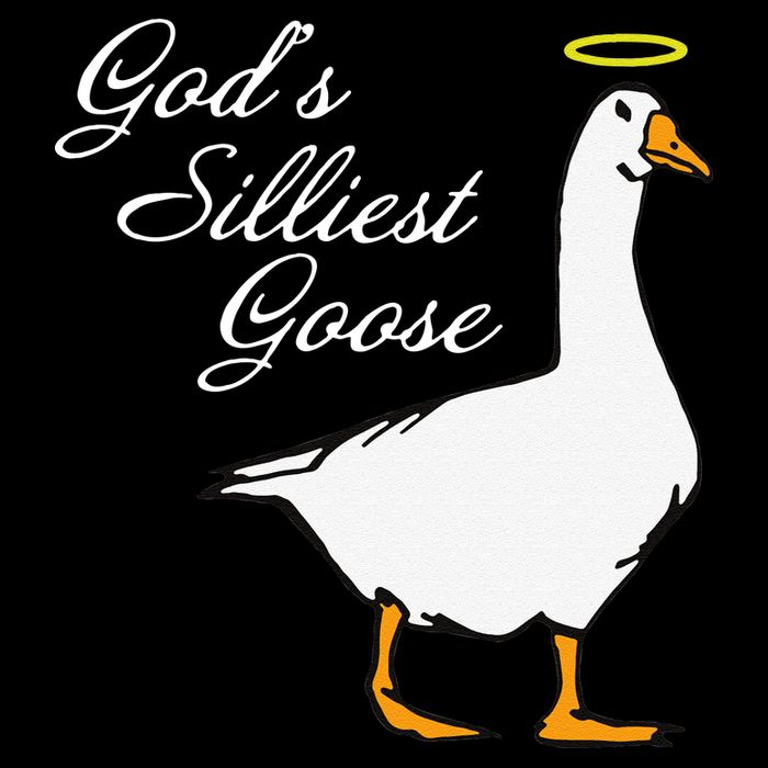 God's Silliest Goose Funny Women's V-Neck T-Shirt