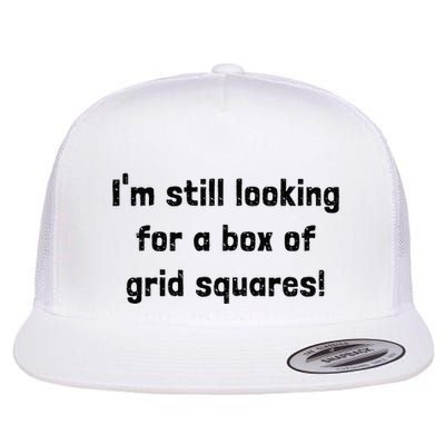 Grid Squares Flatbill Hat