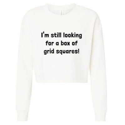 Grid Squares Cropped Pullover Crew