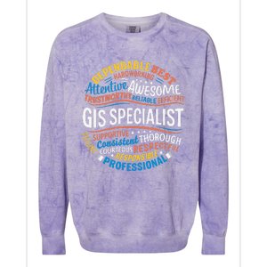 Gis Specialist Gifts Funny Appreciation Week Colorblast Crewneck Sweatshirt