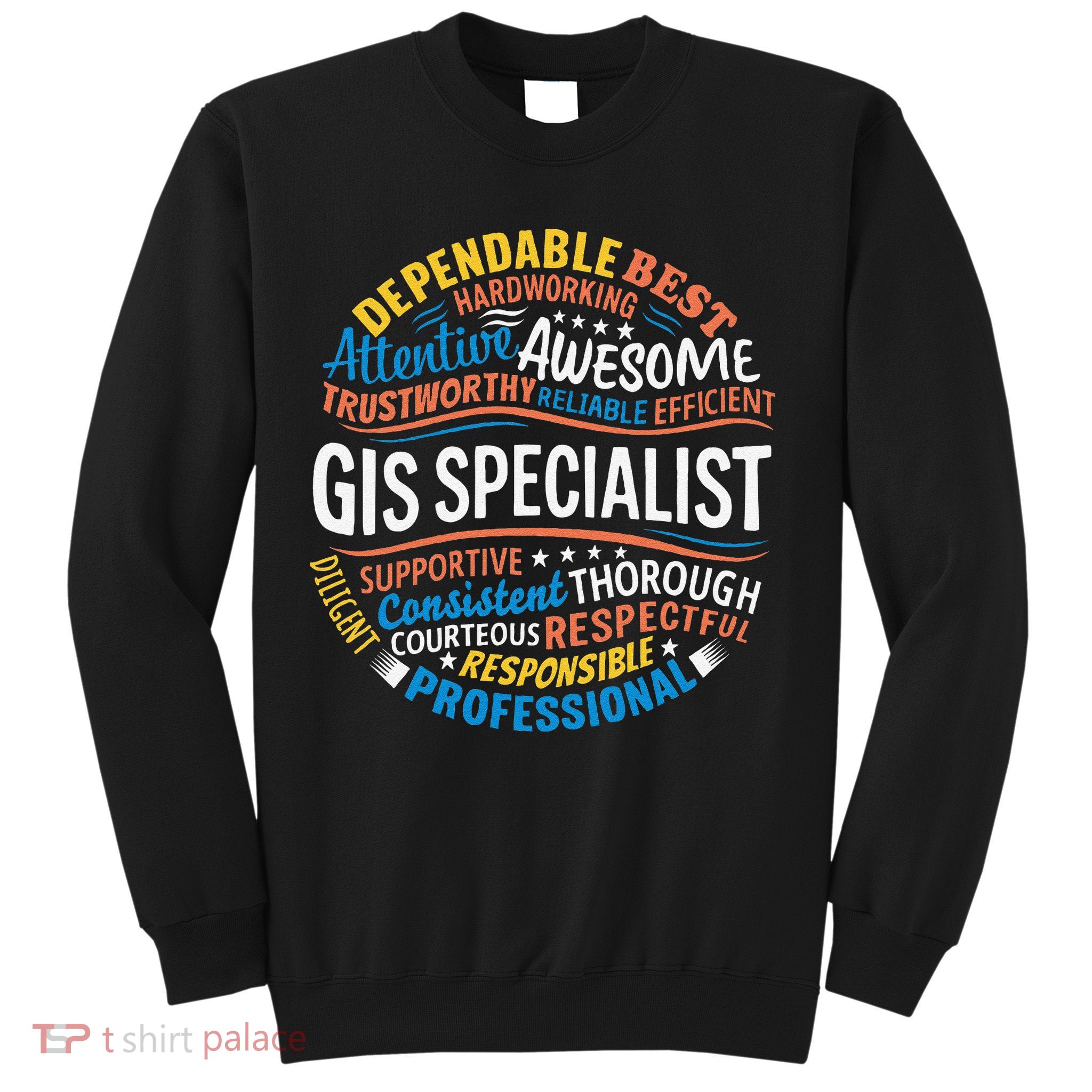 Gis Specialist Gifts Funny Appreciation Week Sweatshirt