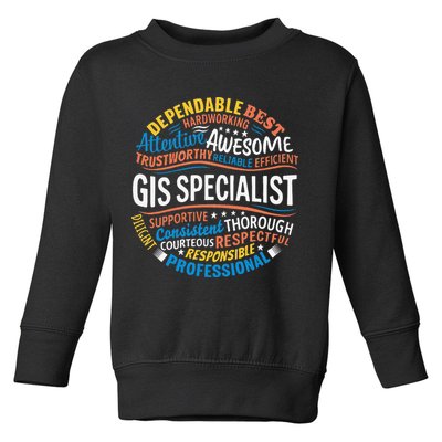 Gis Specialist Gifts Funny Appreciation Week Toddler Sweatshirt