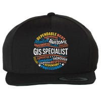 Gis Specialist Gifts Funny Appreciation Week Wool Snapback Cap
