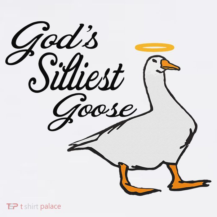 God's Silliest Goose God's Silliest Goose Duck Funny T-Shirt