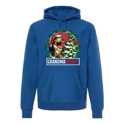 Grandmasaurus Santa Grandma Dinosaur Trex Xmas Tree Light Gift Premium Hoodie