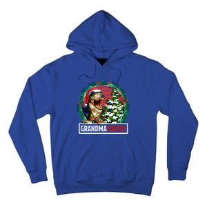 Grandmasaurus Santa Grandma Dinosaur Trex Xmas Tree Light Gift Tall Hoodie