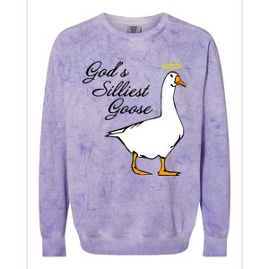 God's Silliest Goose Funny Goose Lover Sarcasm Colorblast Crewneck Sweatshirt