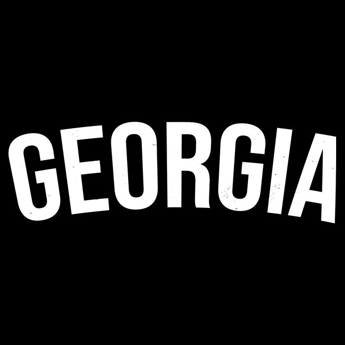 Georgia State Bucket Hat
