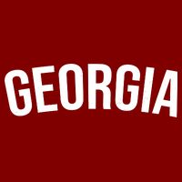 Georgia State T-Shirt