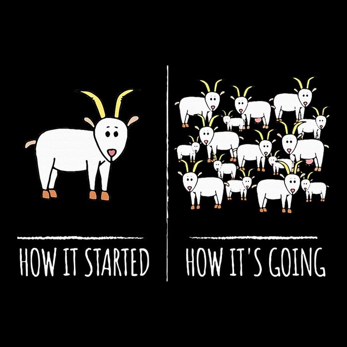 Goat S Goat Lovers Farm Apparel Meme Pun Funny Goat Cooling Performance Crew T-Shirt