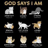 God Says I Am Cat Cute Cats Lover Bible Verse Christian 16 in Basic Backpack