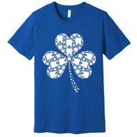 Green Shamrock Irish Dentist Tooth St Patrick's Day Dental Gift Premium T-Shirt