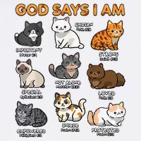God Says I Am Cat Cute Cats Lover Bible Verse Christian Womens T-Shirt